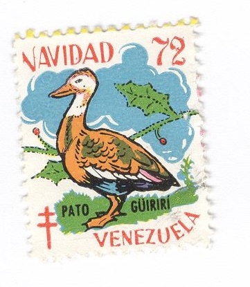 Navidad 72.Pato Güiriri