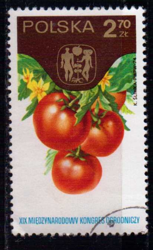 congreso hortícola internacional. tomates