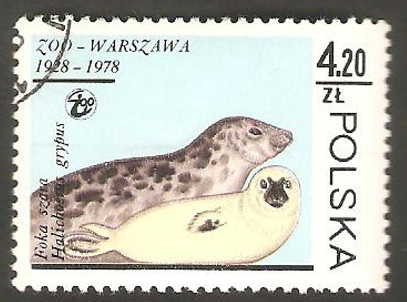 2418 - Zoo de Varsovia, foca gris