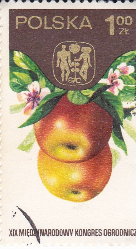 2170 - Fruta manzanas