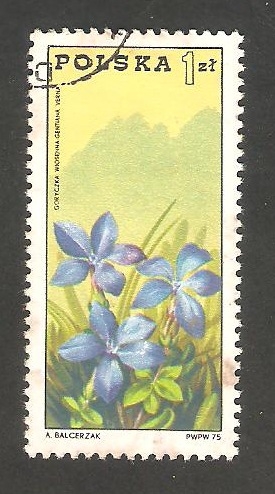 2209 - Flores y montes Tatras