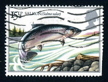 1983 Pescados fluviales Británicos.Salmón - Ybert:1067