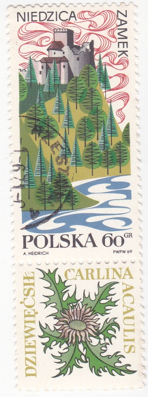 Castillo de Niedzica y flor Carlina Acaulis