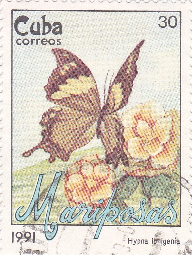 Mariposa cubana