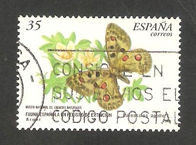 3694 - Mariposa parnassius apollo