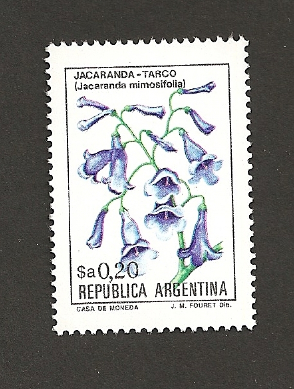 Jacaranda