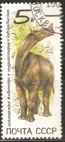 ANIMALES  PREHISTÒRICOS.  INDRICOTHERIUM