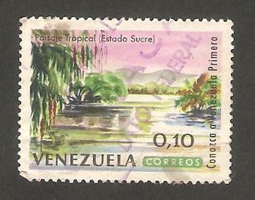 703 - Paisaje tropical, en el Estado de Sucre