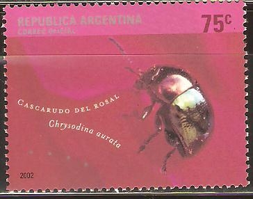 INSECTOS.  CASCARUDO  DEL  ROSAL.