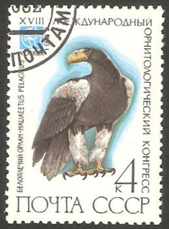 4914 - Congreso internacional de ornitologia en Moscú
