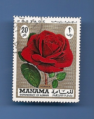 MANAMA depend. of AJMAN Flores ROSA 