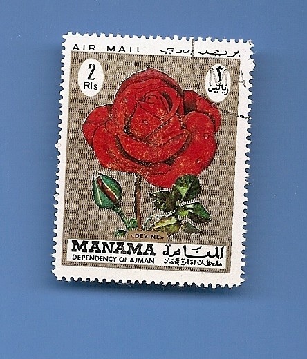 MANAMA depend. of AJMAN Flores ROSA 