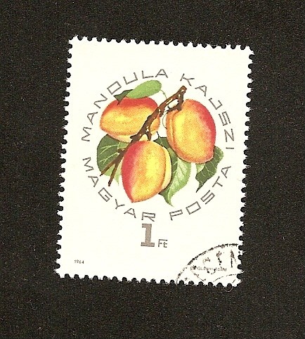 FLORA Y FAUNA  albaricoques