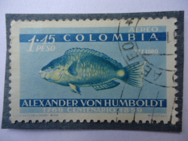 Pez Loro- Centenario de Alexander Von Humboldt 1769-1859 
