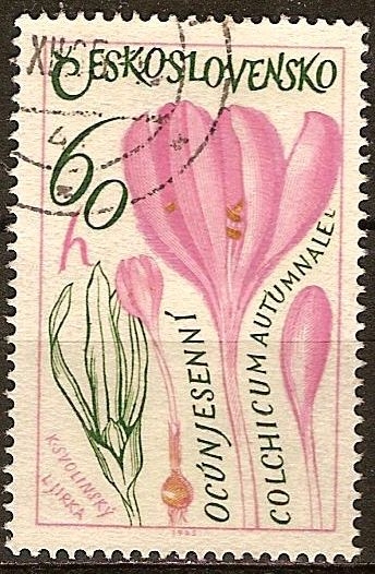 Plantas Medicinales,(Azafrán Meadow).