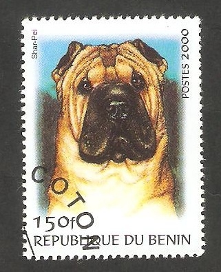 Perro de raza, Shar Pei