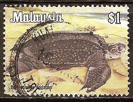 Tortuga malaya.