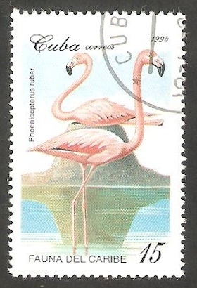 Fauna del Caribe