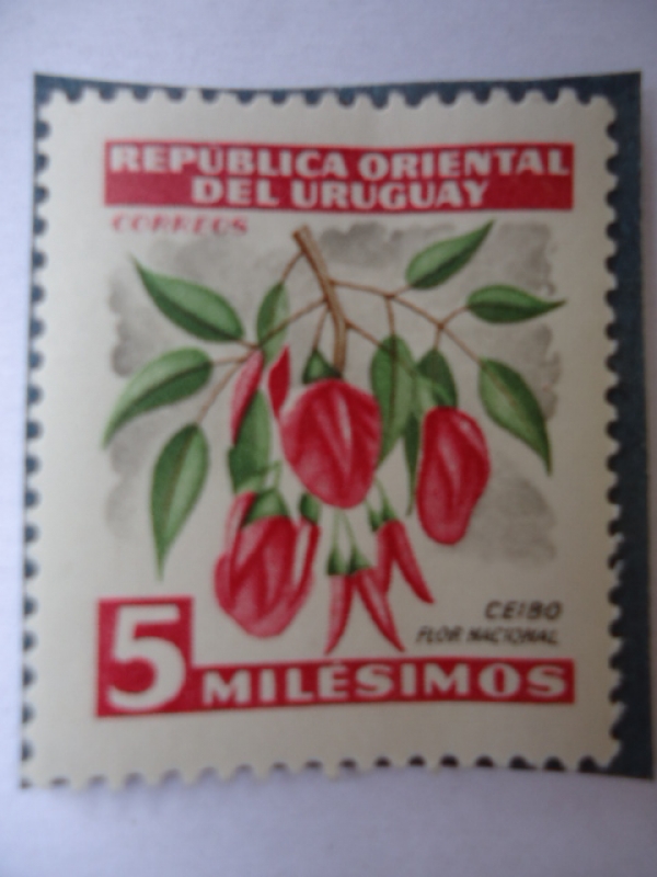 Ceibo - Flor Nacional