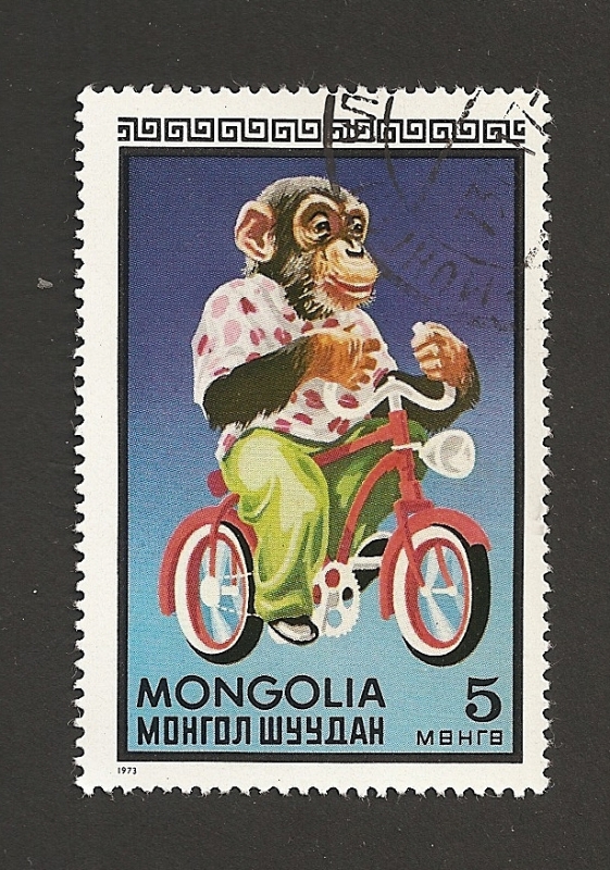 Chimpacé en bicicleta
