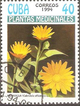 PLANTAS  MEDICINALES.  CALENDULA  OFFICINALIS.