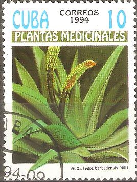 PLANTAS  MEDICINALES.  ALOE  BARBADENSIS.