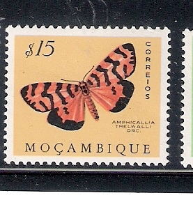 Mariposa (Amphicallia thelwalli Drc.)