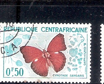 Mariposa (Cymothoe sangaris)