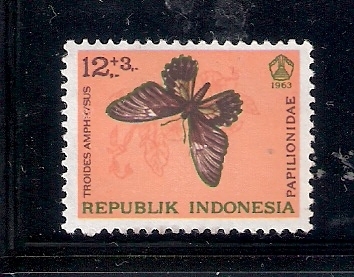 Mariposa (Papilionidae: Troides amphrysus)