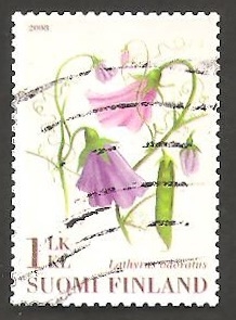 1870 - Flor lathyrus odoratus