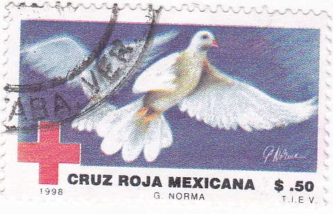 Cruz Roja Mexicana