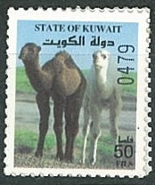 Camellos