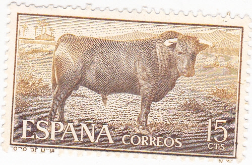 TORO DE LÍDIA  (9)