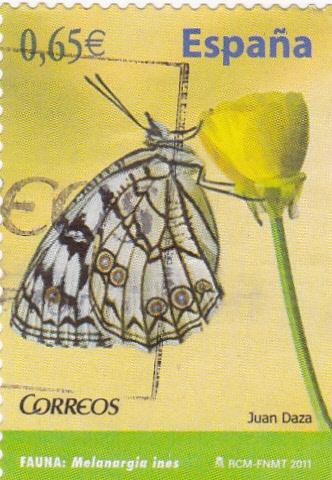 MARIPOSA  (9)