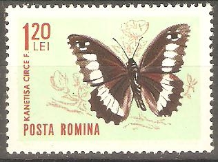 MARIPOSAS.  KANETISA  CIRCE.  