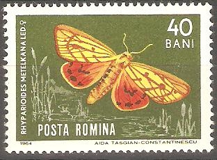 MARIPOSAS.  RHYPARIOIDES  METELKANA  LED.