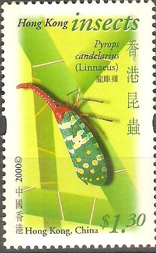 INSECTOS.  PYRPS  CANDELARIUS.