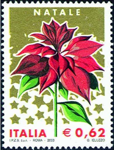 2578 - Poinsettia