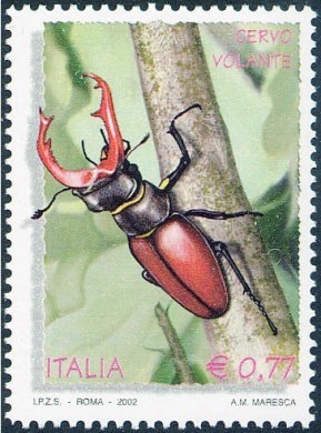 2517 - Escarabajo