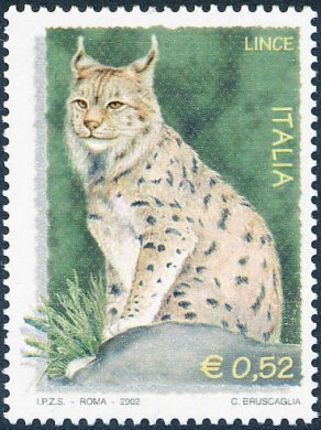 2516 - Lince