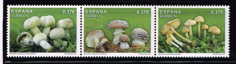 Edifil  4822-24  Micología.  