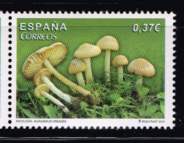 Edifil  4824  Micología.  