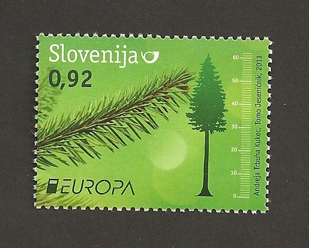 Bosques europeos: Pinos