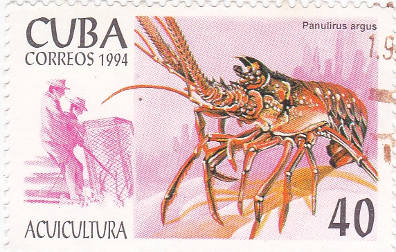 Acuicultura