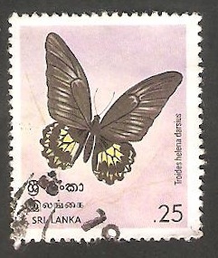 Mariposa