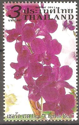 FLORES.  CHERLUK  RED.