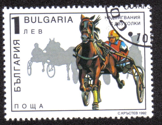 Caballos