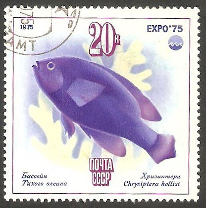 4166 - Fauna marina, Exposición internacional en Okinawa, Oceanexpo 75