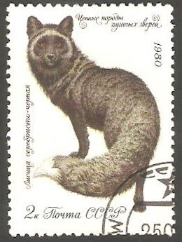 4706 - Fauna