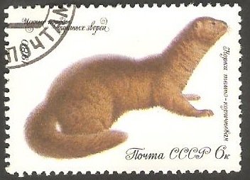 4708 - Fauna